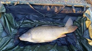 Lago Boschetto 2 - 4 februarie 2016